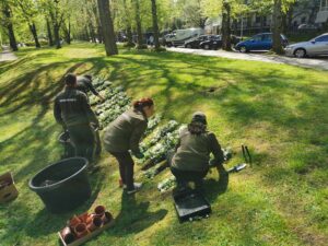 Read more about the article #NieZapominajmy. Akcja sadzenia kwiatków na znak, że pamiętamy o ofiarach COVID-19