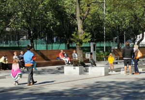 Read more about the article Kołobrzeg jutro na antenie telewizji publicznej. Reportaż o mewach i Marianach