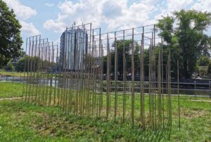 Read more about the article „ŁAWICA” wylądowała właśnie w sądzie