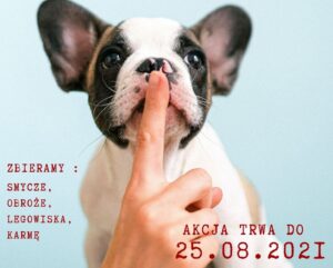 Read more about the article „Rozsiewaj dobroć” – akcja biblioteki i schroniska dla zwierząt