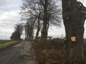 Read more about the article Szykuje się remont drogi Ząbrowo-Ołużna