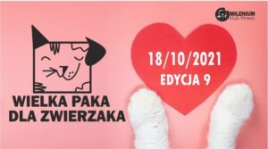 Read more about the article Wielka Paka dla Zwierzaka: ćwicz za darmo i pomagaj bezdomnym czworonogom