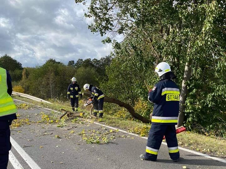 You are currently viewing Już ponad 20 interwencji Straży Pożarnej. Wiatr bezlitosny dla drzew