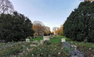 Read more about the article Ponad 20 dużych agaw trafiło do szklarni, gdzie przezimują