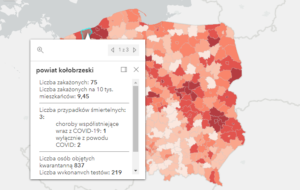 Read more about the article IV fala koronawirusa: rekord zakażeń i zgonów w regionie (dane z naszego województwa, w tym z pow. kołobrzeskiego)