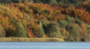 Read more about the article Spacer fotograficzny w poszukiwaniu jesieni (GALERIA ZDJĘĆ)