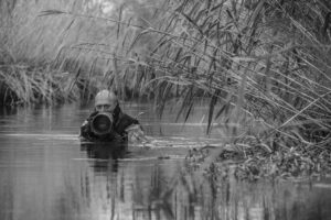 Read more about the article 26 listopada-31 marca 2022 r., biblioteka, wystawa  „Kadry Kreślone Piórem”, wstęp wolny