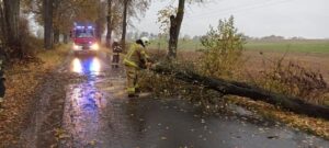 Read more about the article Strażacy już usuwają powalone drzewa. Alert pogodowy obowiązuje dziś w nocy i jutro rano