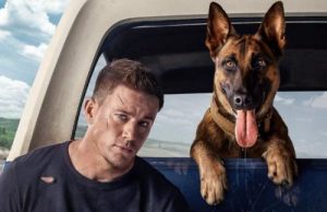 Read more about the article Zmiana repertuaru w kinie Wybrzeże. Na afiszu m.in. amerykańska komedia „Pies” (ZWIASTUNY)