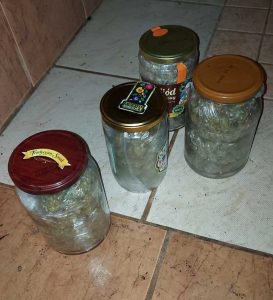 Read more about the article 36-latek tymczasowo aresztowany za narkotyki. Posiadał m.in. ponad pół kilograma marihuany