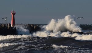 Read more about the article Ostrzeżenie przed silnym wiatrem w strefie brzegowej: nawet 7 w skali Beauforta