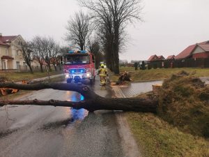 Read more about the article Już ponad 130 interwencji strażaków. Wszystkie jednostki w terenie udzielają pomocy lub usuwają skutki wichury