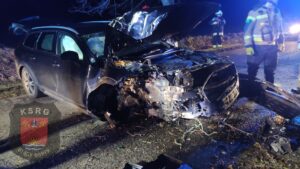 Read more about the article Zwierzę wyskoczyło na drogę. Kierowca volvo może mówić o dużym szczęściu