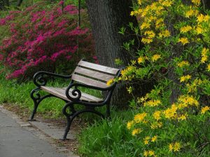 Read more about the article W Kołobrzegu powstanie pierwszy park kieszonkowy. Co to właściwie jest?