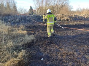 Read more about the article Strażacy gasili pożary traw. Za wypalanie łąk, pastwisk, ugorów i trzcinowisk grożą wysokie grzywny