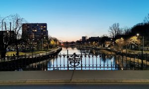 Read more about the article Na moście na Łopuskiego pojawią się kwiaty. A kiedy na plac 18 Marca wrócą agawy?