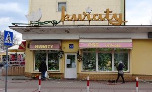 Read more about the article Śladem publikacji: „KWIAT” i tulipan z dachu kwiaciarni zostaną uratowane?