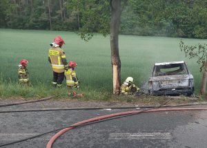 Read more about the article Samochód uderzył w drzewo i stanął w płomieniach. Kierowcy nie udało się uratować