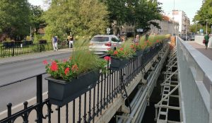 Read more about the article Kwiaty na moście. Nowy pomysł na upiększenie miasta