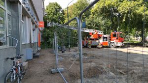 Read more about the article Śladem naszej publikacji: miasto zleciło ekspertyzę drzew przy Armii Krajowej