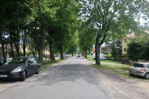 Read more about the article Śladem publikacji: komentarz wójt Ustronia Morskiego ws. remontu ul. Kolejowej i wycinki drzew