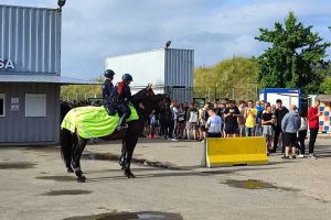 Read more about the article Policja podsumowała Sunrise Festival