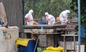 Read more about the article Żołnierze z Kołobrzegu pomagają usuwać skutki katastrofy ekologicznej na Odrze