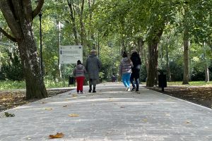 Read more about the article Alejka w zabytkowym parku gotowa. Kostka była płomieniowana, bo wysoka temperatura powoduje, że jest szorstka i nie będzie śliska