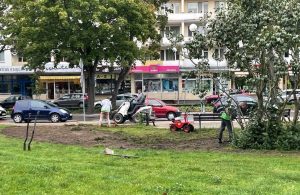 Read more about the article Nowe nasadzenia na placu płk. Anatola Przybylskiego