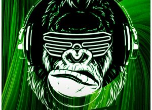 Read more about the article 28 października, klub Centrala, „Tańce w Centrali”, godz. 20, bilety 20 zł