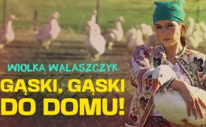 Read more about the article 18 października, klub Centrala, Wiolka Walaszczyk (stand-up), godz. 20, bilety