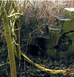 Read more about the article Spotkanie w bibliotece: promocja książki „Książeczka wyjścia” Wojciecha Czaplewskiego