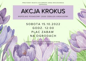 Read more about the article W sobotę na osiedlu Ogrody do gruntu powędruje aż dwa tysiące sadzonek krokusów