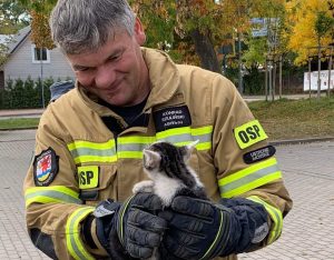 Read more about the article Wlazł kotek do samochodu i utknął. Pomogli mu strażacy z Ustronia Morskiego