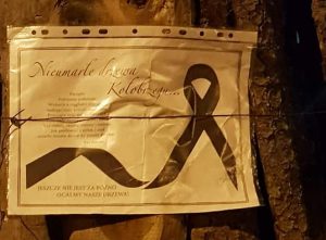 Read more about the article Nekrologi na drzewach. „Nie pozwolimy na bezrefleksyjną wycinkę”