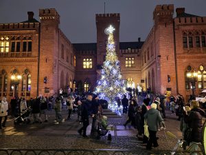 Read more about the article Światełka na miejskiej choince rozbłysły dziś punktualnie o godzinie 16 (WIDEO)