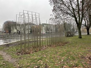 Read more about the article Przełom w sprawie pechowej „ŁAWICY”. Rybki wrócą na Rzeczną