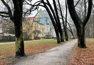 Read more about the article Przetarg na przebudowę ulicy Spacerowej unieważniony