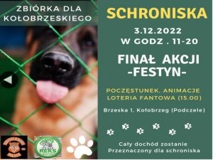 Read more about the article REKS i Brotherhood MC zapraszają na finał zbiórki dla schroniska dla zwierząt