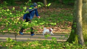 Read more about the article Rozpoczęła się deratyzacja parków.  Uważajcie podczas spacerów na swoje czworonogi!