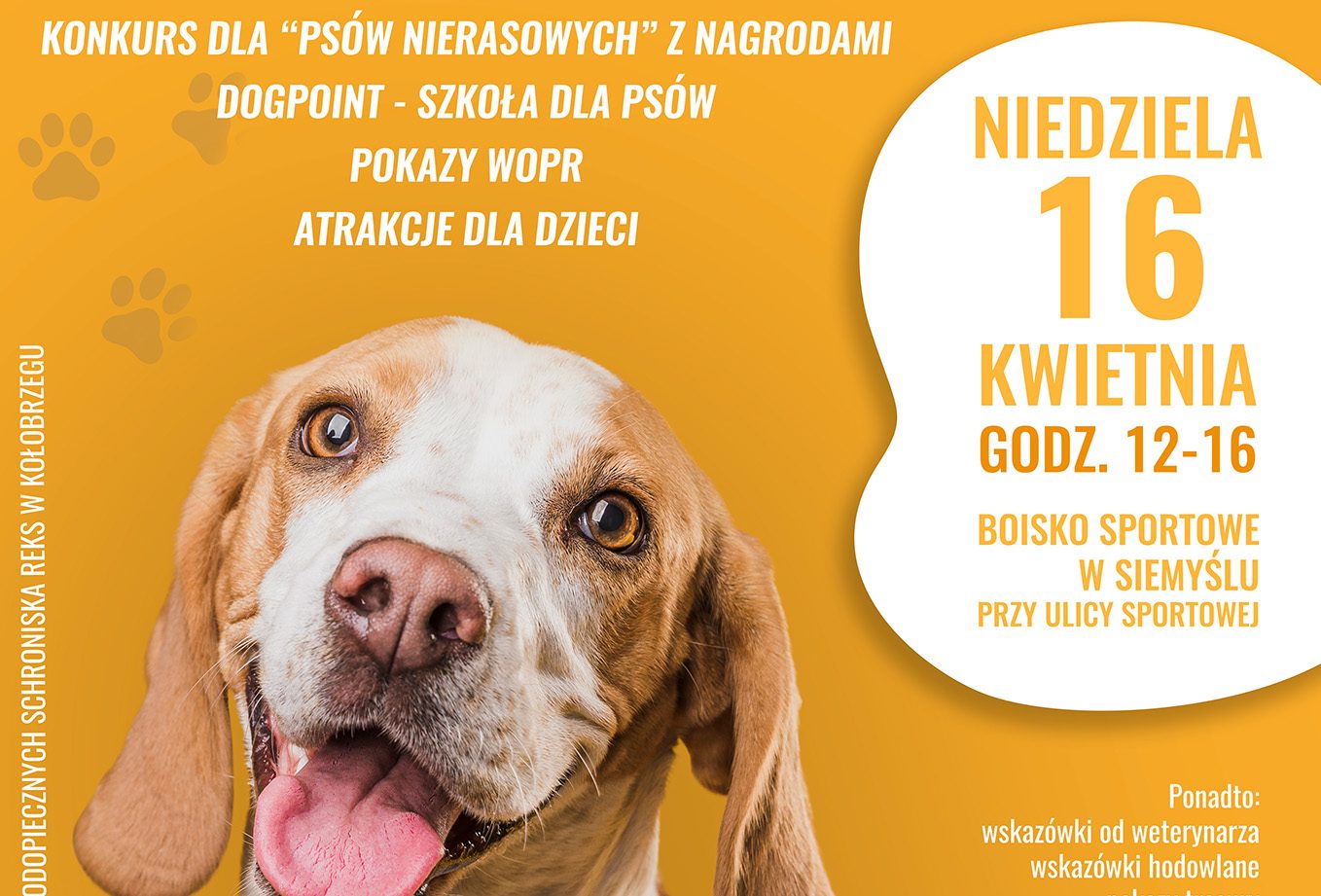 You are currently viewing 16-17 kwietnia, boisko w Siemyślu, „Weekend z pupilem”, wstęp wolny