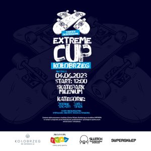 Read more about the article W niedzielę Zawody Deskorolkowe na zakończenie warsztatów. Start o godz. 12