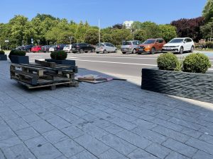 Read more about the article Gazony z kulami z bukszpanu stanęły przy jednej z głównych ulic w centrum Kołobrzegu