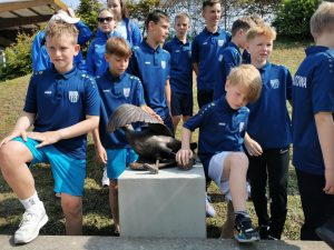 Read more about the article Trzy sportowe Mariany stanęły przy obiektach MOSiR-u (ZDJĘCIA, WIDEO)