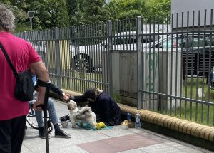 Read more about the article Żebranie w kurorcie z psem bardziej opłacalne? Małe szczeniaki mają sprawić, że chętniej sięgniemy do portfela