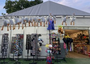 Read more about the article Gęś Pipa nie schodzi z nadmorskich straganów. Sympatyczna maskotka to hit tego sezonu