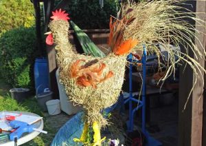 Read more about the article Podczas wizyty premiera zaginął kogut. Ostatni raz był widziany w rękach blondynki ubranej w czerwony sweterek