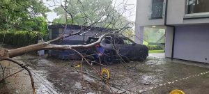 Read more about the article Powalone na samochód drzewo, zalane piwnice i ulice – bilans wczorajszej ulewy
