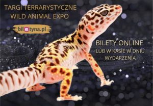 Read more about the article Wystawa zwierząt egzotycznych w hali Milenium