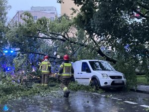 Read more about the article Silny wiatr do spółki z ulewami demoluje Wybrzeże (ZDJĘCIA, WIDEO)